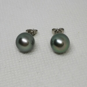 Large 14k white gold  pearl studs